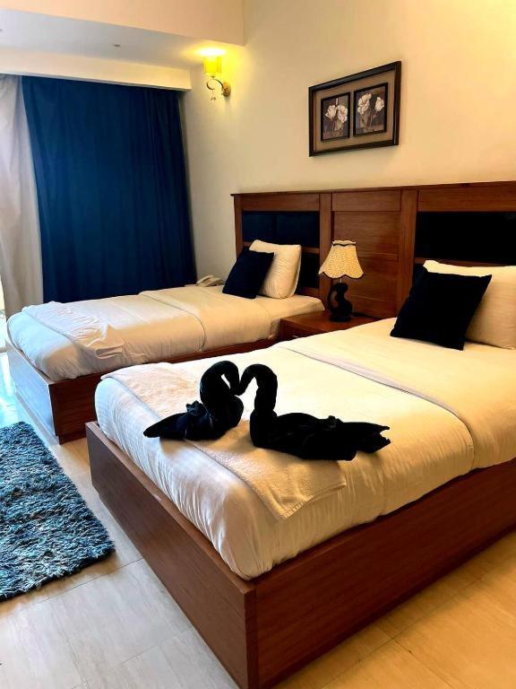 Palma Vision Hotel Inside Palma Resort & Diving Club 洪加達 外观 照片